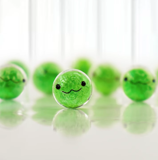 MARIMO Ornare Glass Series (Marimo Ball / Luminous / 1cm / 1 PC)