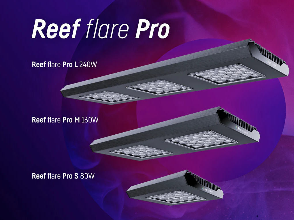 REEF FACTORY Reef Flare Pro