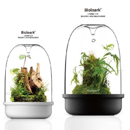 BIOLOARK LED Glass Bio Bottle MQ Series